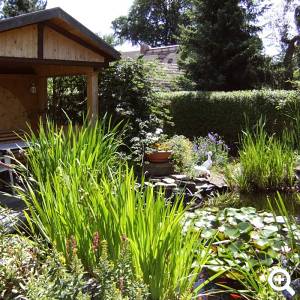 Gartenteich & Grillecke zum Entspannen.