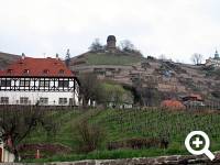 Schloß Hoflößnitz in den Weinbergen