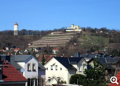 Blick von der FeWo in die Weinberge